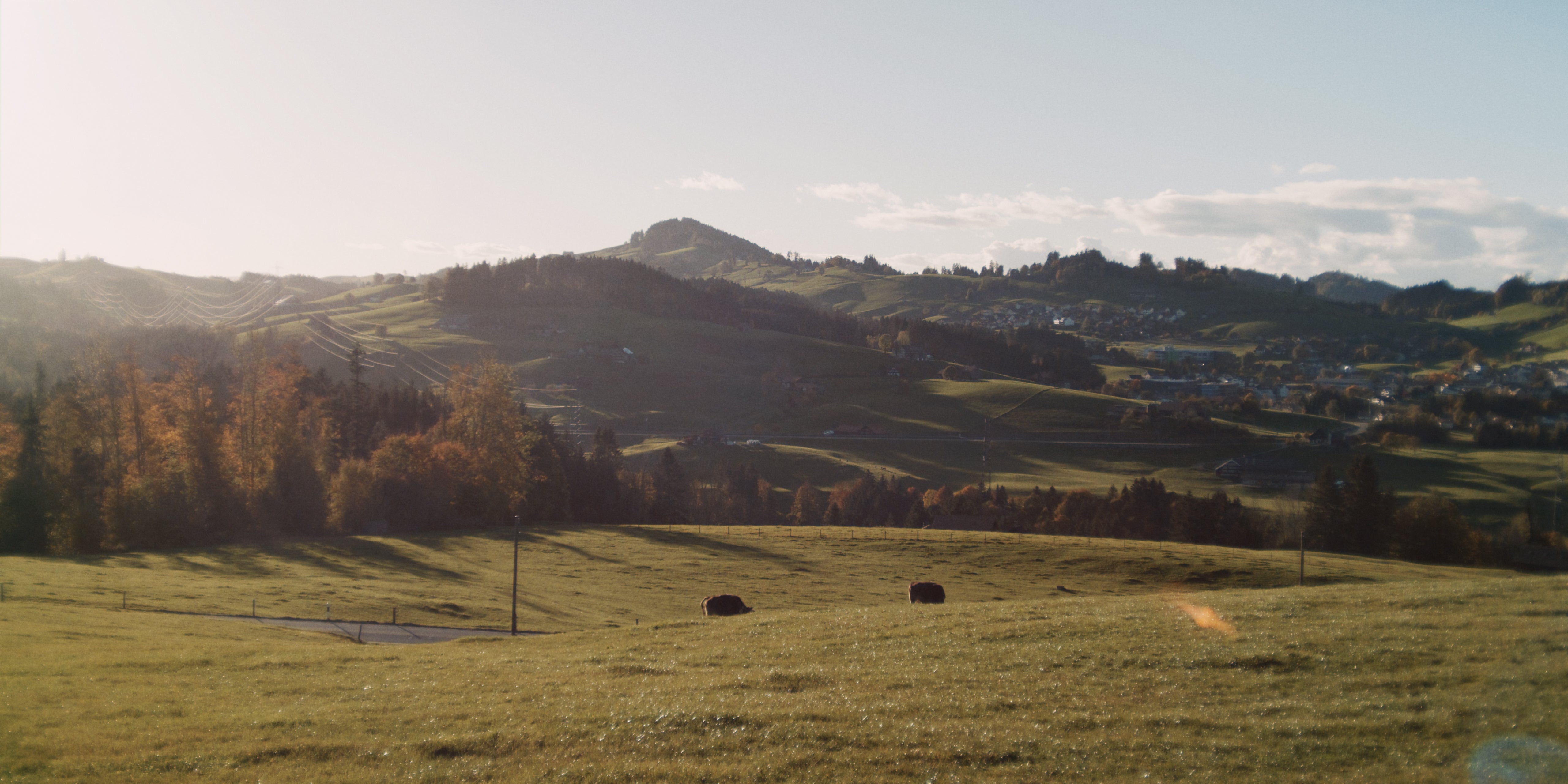 Frau mit Hund läuft bei regnerischem Wetter über einen kleinen Steg bei einem wilden Naturbach in der Appenzeller Natur in der Ostschweiz